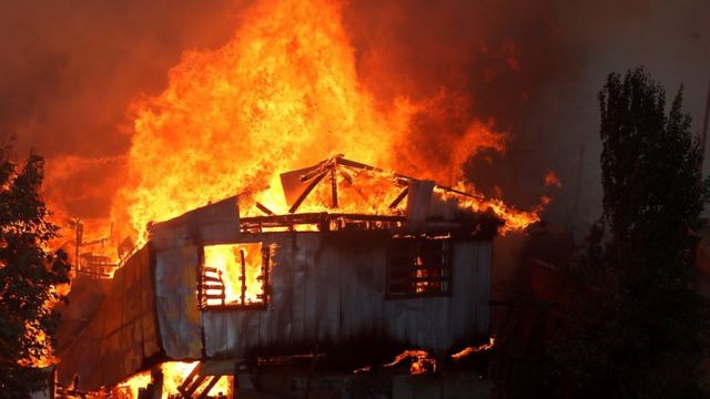 perro-incendio