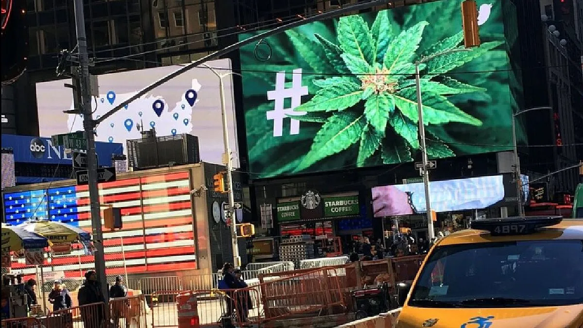 marihuana-nueva-york